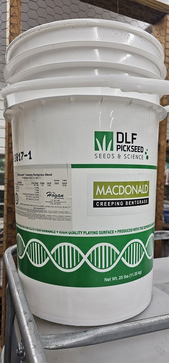 DLF Pickseed Macdonald creeping bentgrass blend bucket