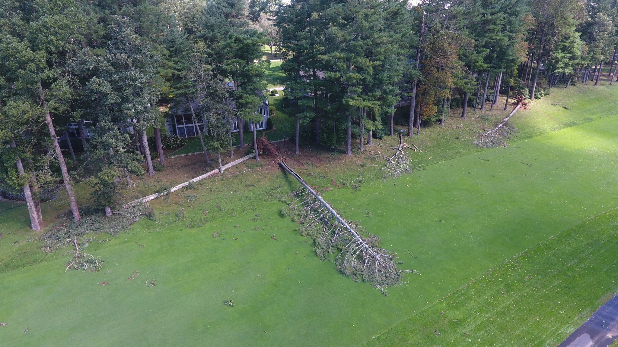 Kenmure Golf Maintenance added 19 new photos.