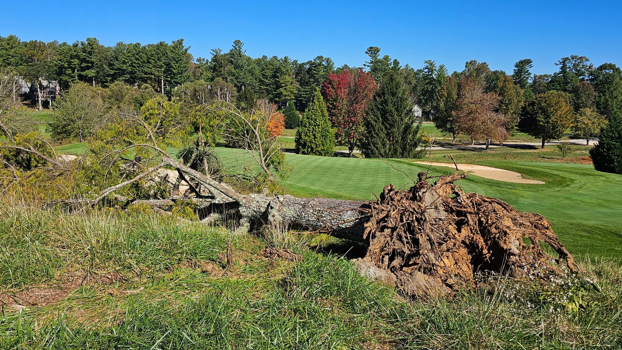 Kenmure Golf Maintenance added 19 new photos.