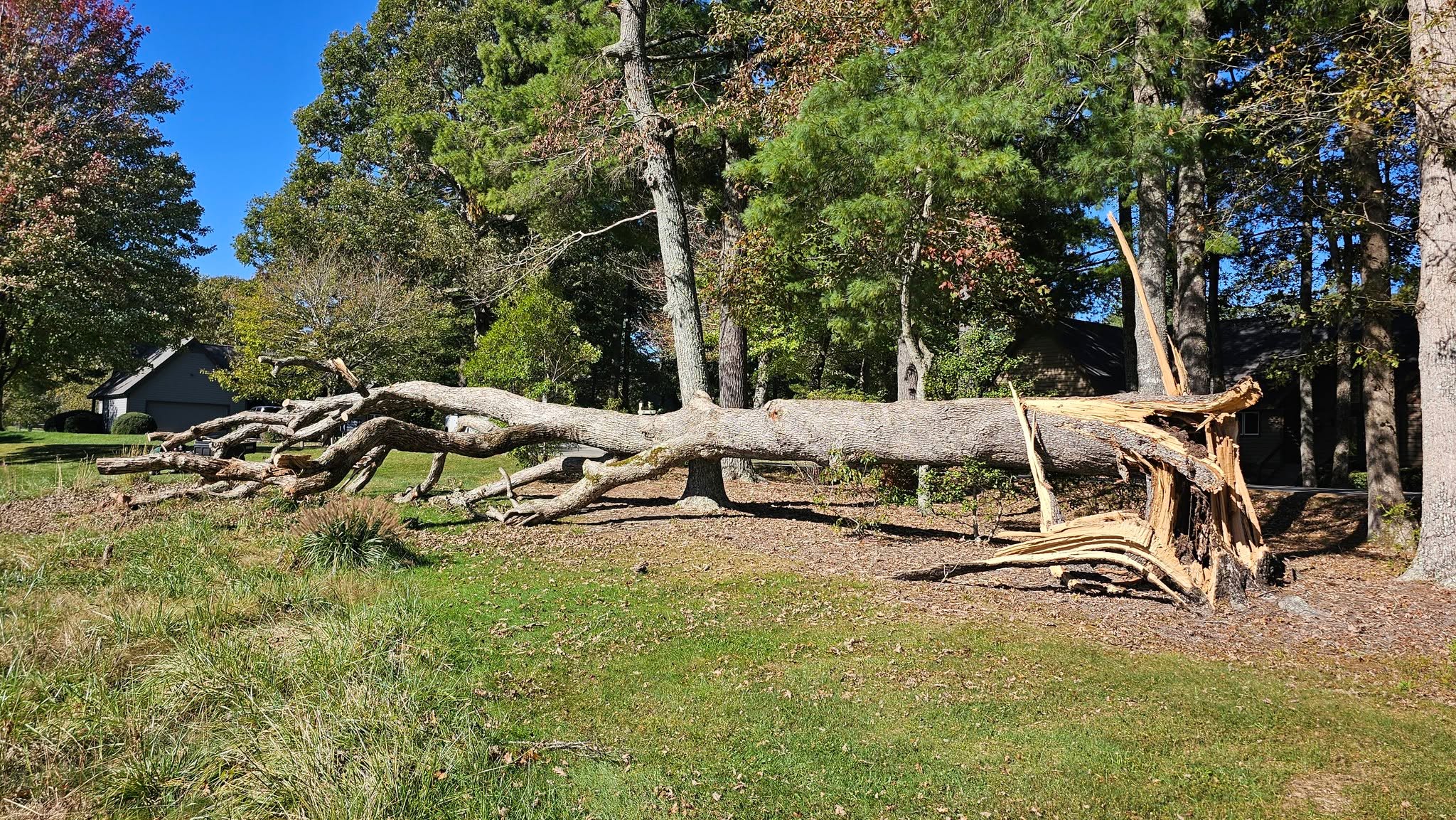 Kenmure Golf Maintenance added 19 new photos.