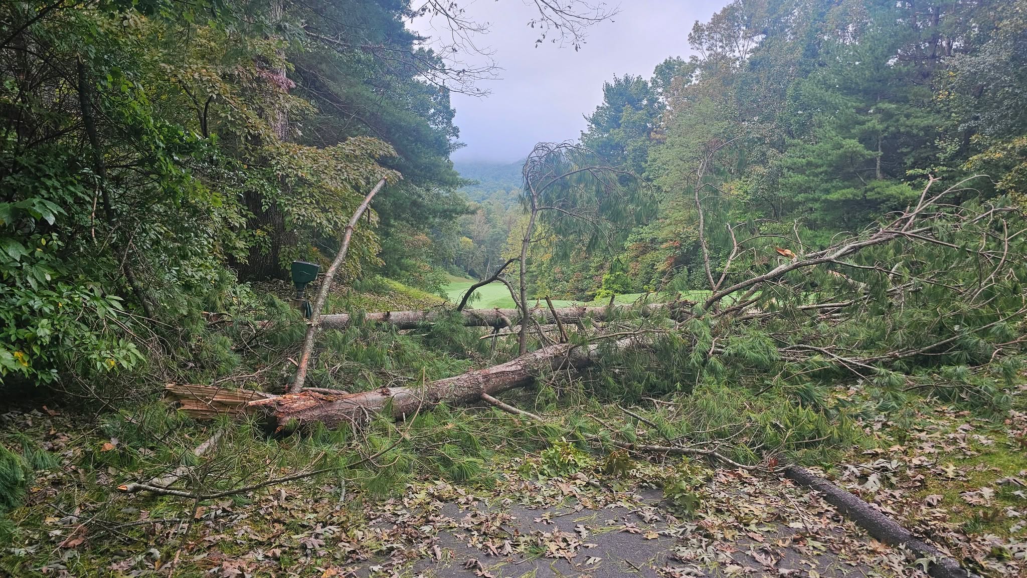 Kenmure Golf Maintenance added 19 new photos.