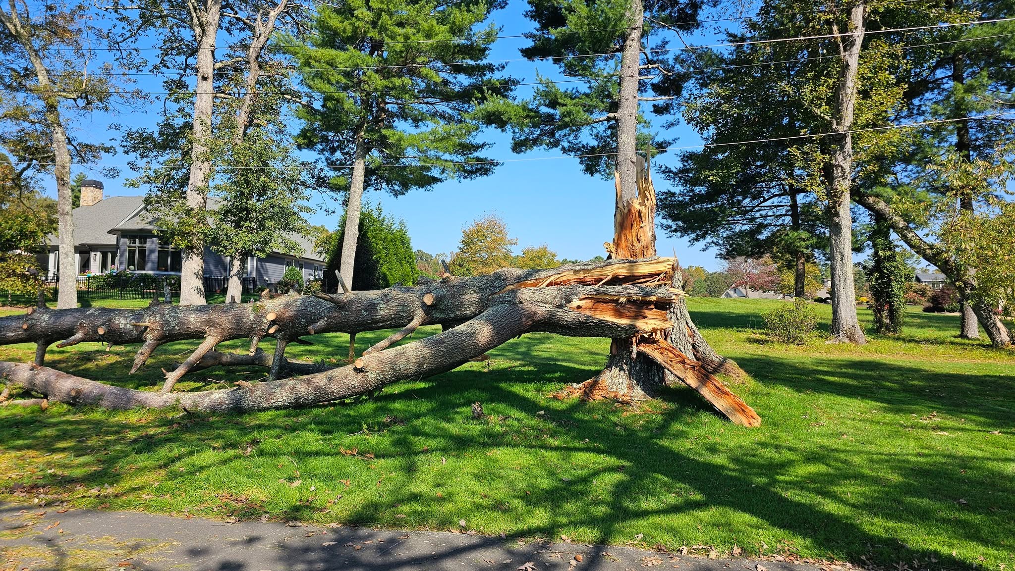 Kenmure Golf Maintenance added 19 new photos.