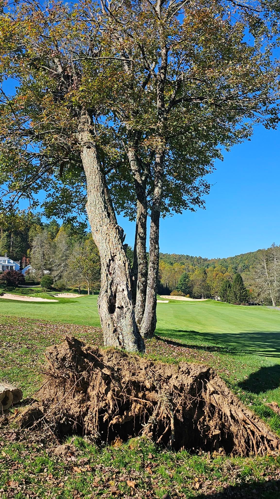 Kenmure Golf Maintenance added 19 new photos.